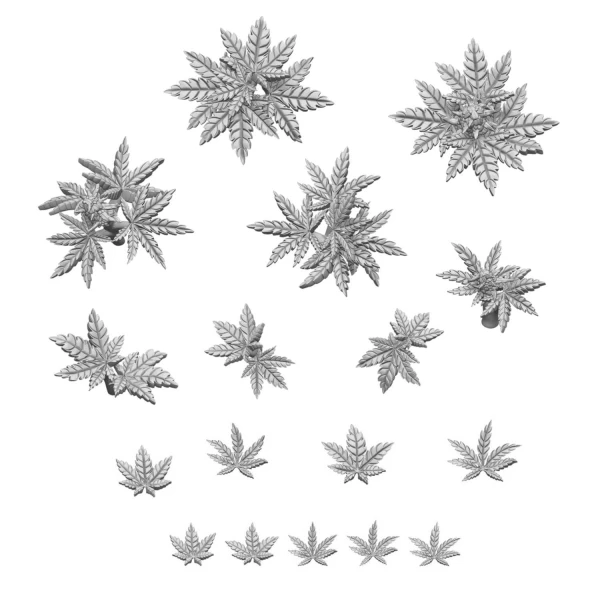 57c7322a9b9e772f324b300f7df4ebea.jpg