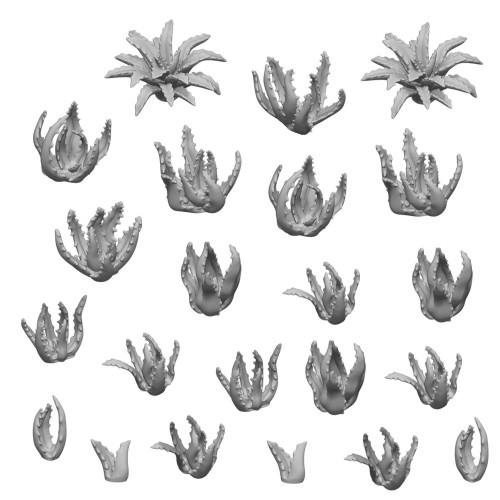 5e645253528dc20896664aec25c25947.jpg