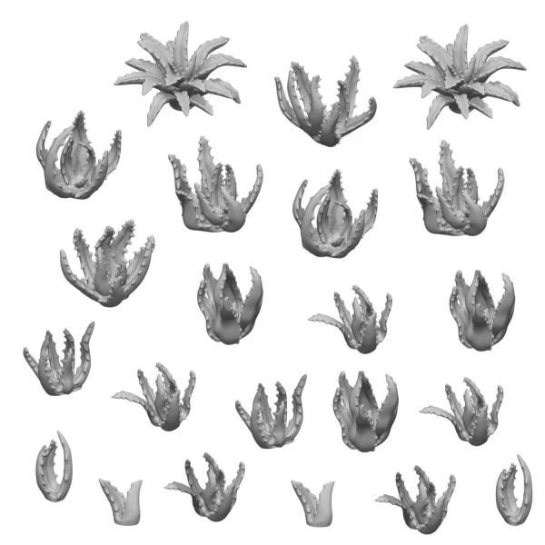 5e645253528dc20896664aec25c25947.jpg